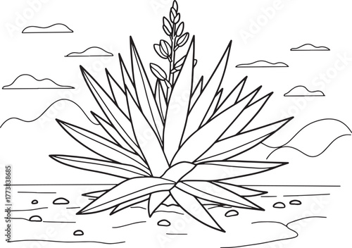 Black and White Agave Plant Illustration for Coloring Books and