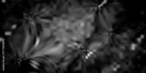 A dark, textured rock surface with shades of black and gray, creating a dramatic and mysterious atmosphere. Ideal for backgrounds or designs needing a bold, moody, and unique aesthetic