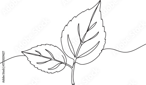 Minimalist Apple Leaf Continuous Line Drawing for Botanical Illu