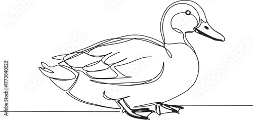 Elegant Duck Illustration in Minimalist Continuous Line Art Styl
