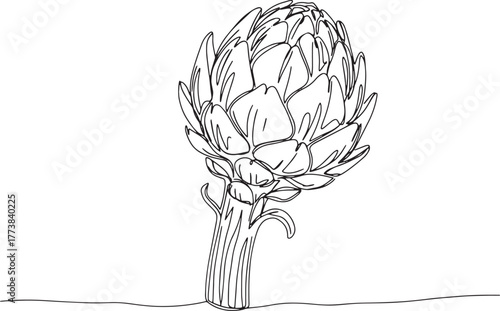 Elegant Line Art Depiction of Artichoke: Minimalist and Modern I