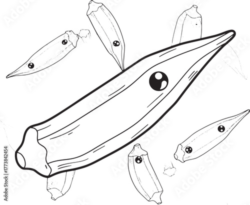 Stylized okra vegetable illustration for coloring books and desi