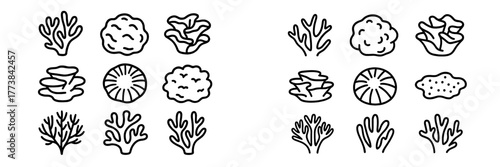 Various types of coral illustrations showcasing ocean biodiversity in a simple line art style