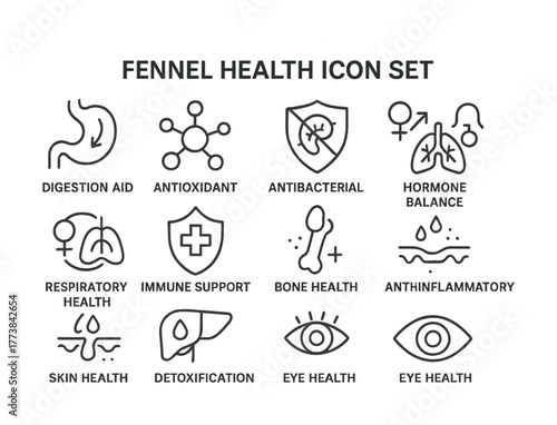 Vector Fennel health benefits: digestive aid, antioxidant, immune support icons