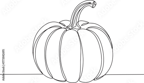 Elegant single line drawing of a plump pumpkin, showcasing minim