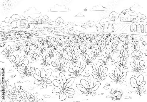 Whimsical Spinach Plantation Coloring Page for Kids and Adults A