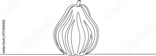 Abstract continuous line drawing of a tropical santol fruit mini