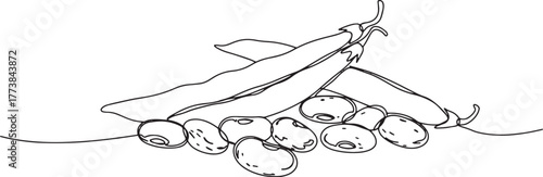 Elegant outline illustration of pinto beans still life, botanica