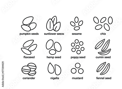 Various seed types: pumpkin, sunflower, sesame, chia, flax, hemp, poppy, cumin, coriander, nigella, mustard, fennel