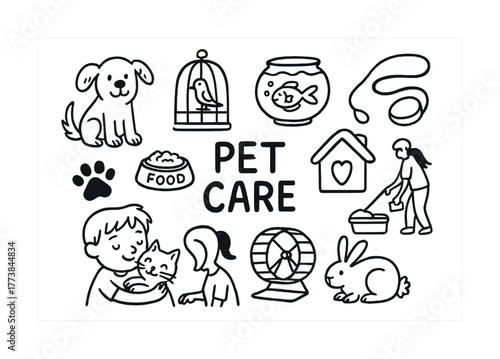 Pet care: animals, feeding, and playtime essentials for kids