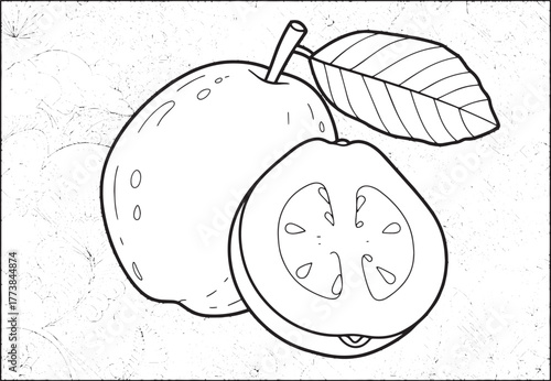 Guava fruit with leaf on abstract patterned background, coloring