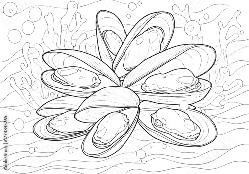 Elegant linear drawing depicting opened mussels with a backgroun