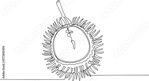 Single line drawing of rambutan exotic fruit, vibrant simplicity