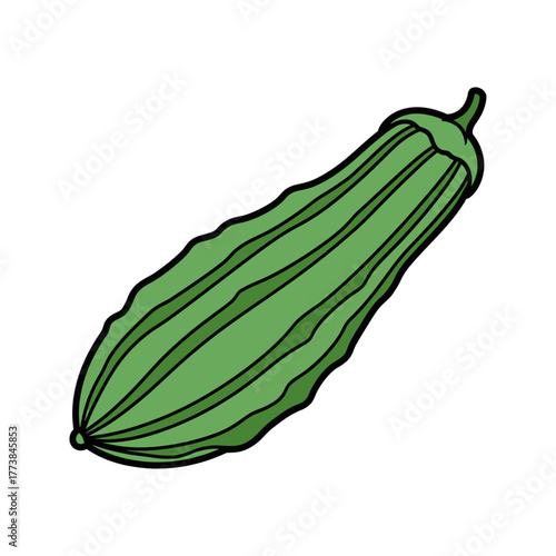 Ridge Gourd: Cartoon Vector Illustration of Green Striped Vegetable, Asian Cuisine Ingredient, Squash Variety, Tropical Produce