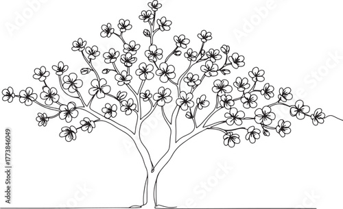 Elegant line drawing illustration of a blossoming tree in spring