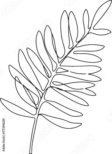 Minimalist one line drawing of white cedar leaf for artistic sim