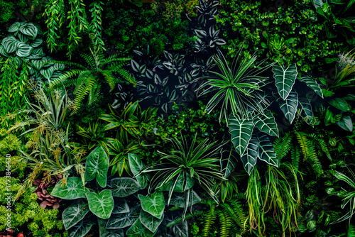Herb wall, plant wall, natural green wallpaper and background. nature wall. Nature background of green forest