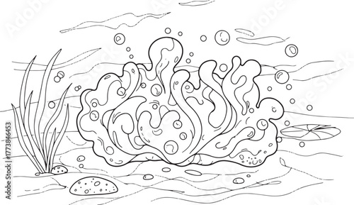 Underwater World Coloring Page with Algae Bloom and Bubbles Illu