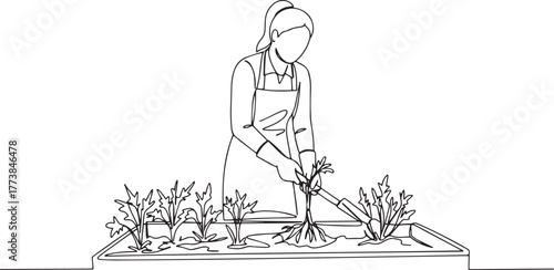 Single line illustration depicting a woman gardening in a raised