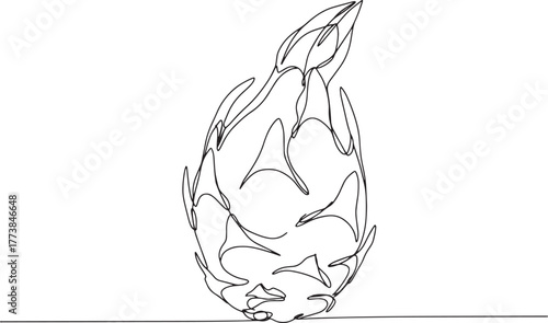 Elegant Pitaya Continuous Line Drawing on White Background for M