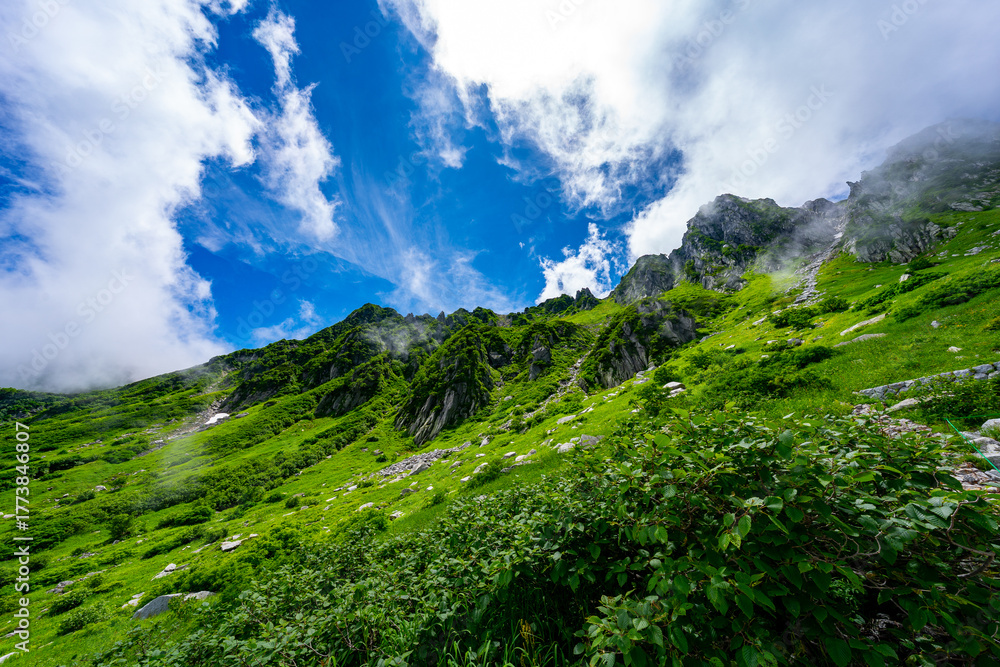 Fototapeta premium 8月の千畳敷カールの風景