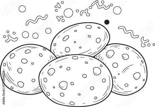 Detailed monochrome sketch of traditional german kartoffelpuffer