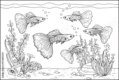 Black and White Line Art of Five Guppy Fish Swimming in an Aquar