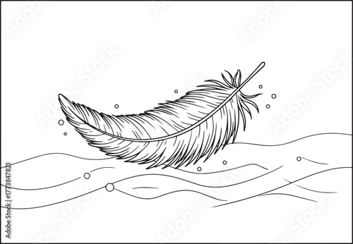 Elegant monochrome illustration of a floating feather with minim
