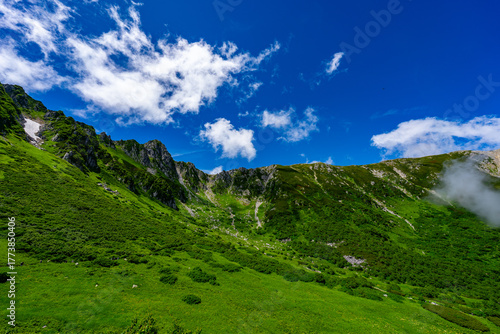 8月の千畳敷カールの風景