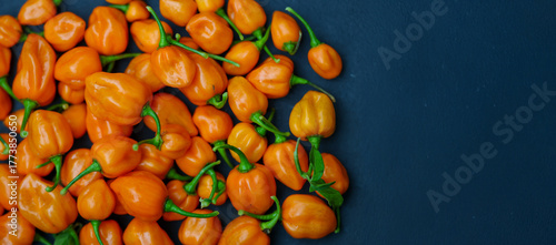 Vibrant and fresh Habanero peppers. The Scoville scale rates these small chili peppers as very hot and spicy. Ideal for making a garden fresh salsa or sauce.