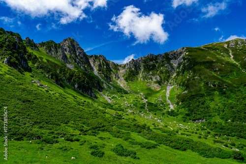 8月の千畳敷カールの風景