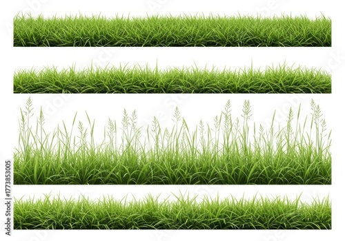 Green grass borders set isolated on white background for architecture design and natural environment projects.