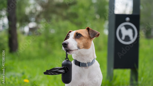 Adorable Dog with Waste Bag Ready for a Walk. 