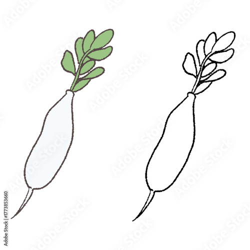 手描きのすずしろ