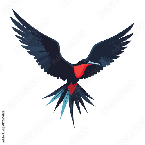 Frigatebird in Flight Vector Illustration