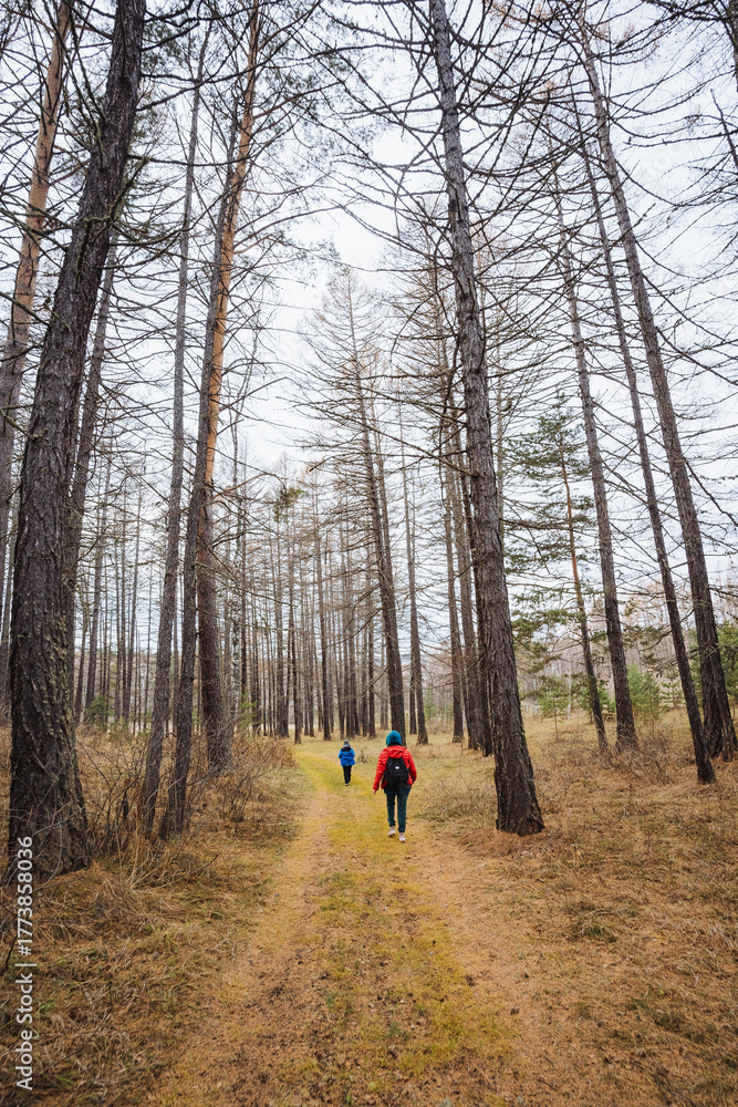 Obraz premium Kids ascend forest trail, Children hike along narrow pine path, Youngsters walk tight woodland trail upward, Children progressing along slender pinelined ascent path amid autumn scenery