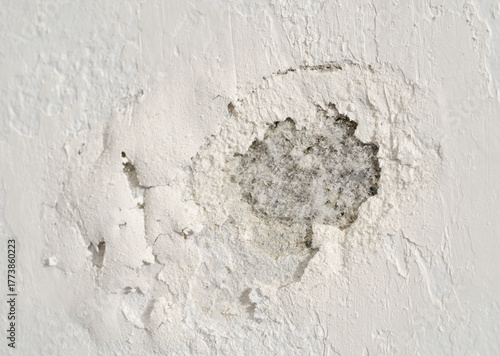 Tableau sur toile Mold and peeling paint on wall caused by humidity and dampness