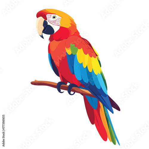 Tropical Parrot Vector Illustration