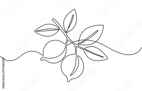 Lemon fruit continuous one line drawing.