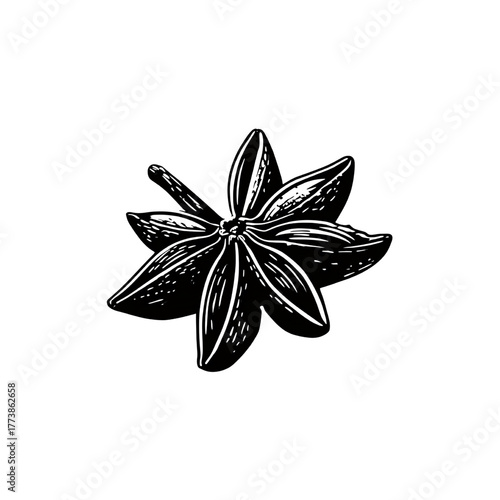Vintage Engraved Star Anise Spice