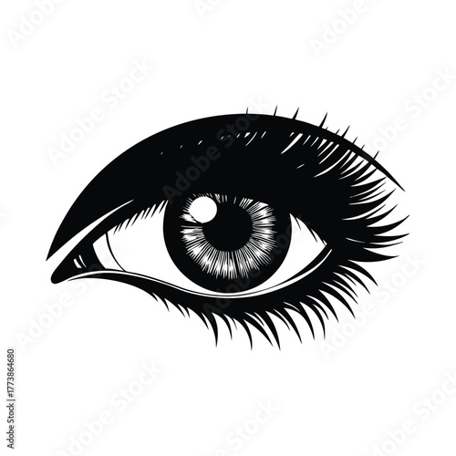 Black and white illustration of a human eye with detailed iris and lashes pupil eyelash