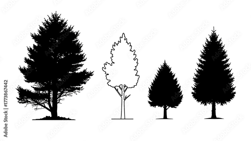 Fototapeta premium Four Trees Silhouette Outlines Depicting Pine, Evergreen, And Coniferous Forms