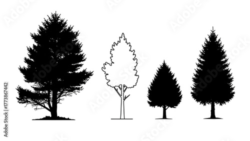 Four Trees Silhouette Outlines Depicting Pine, Evergreen, And Coniferous Forms