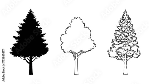 Diverse graphic tree illustrations silhouette, outline, and detailed conifer for nature design concepts