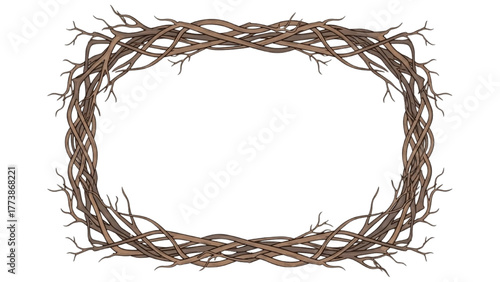 Intricate Frame Made of Woven Dry Twigs with Organic Aesthetic