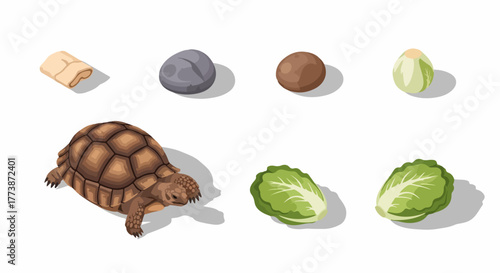 Isometric vector essentials set featuring a tortoise, green lettuce, stones, and bedding materials suitable for pet reptile care on white background.