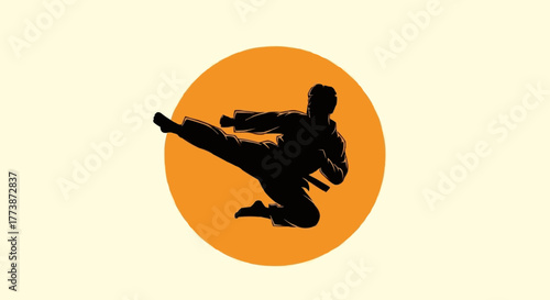 Karate Silhouette with Red Sun Background Vector Illustration