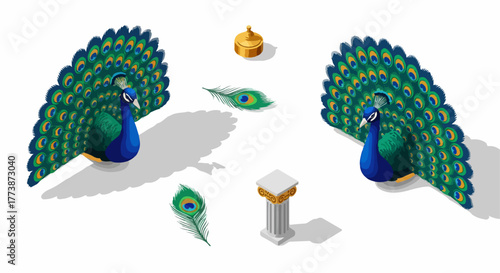Isometric set featuring two colorful peacocks, vibrant feathers, and antique decorative elements like a golden urn and stone column.