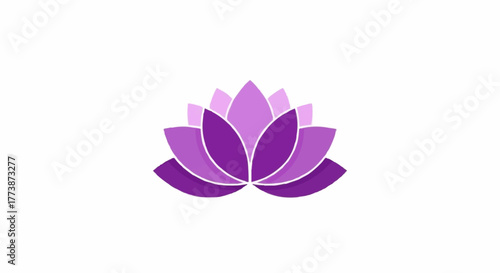 lotus flower isolated on white
