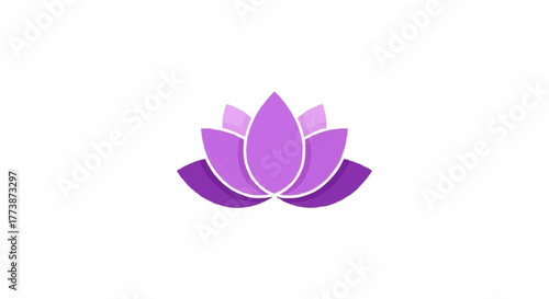 lotus flower isolated on white